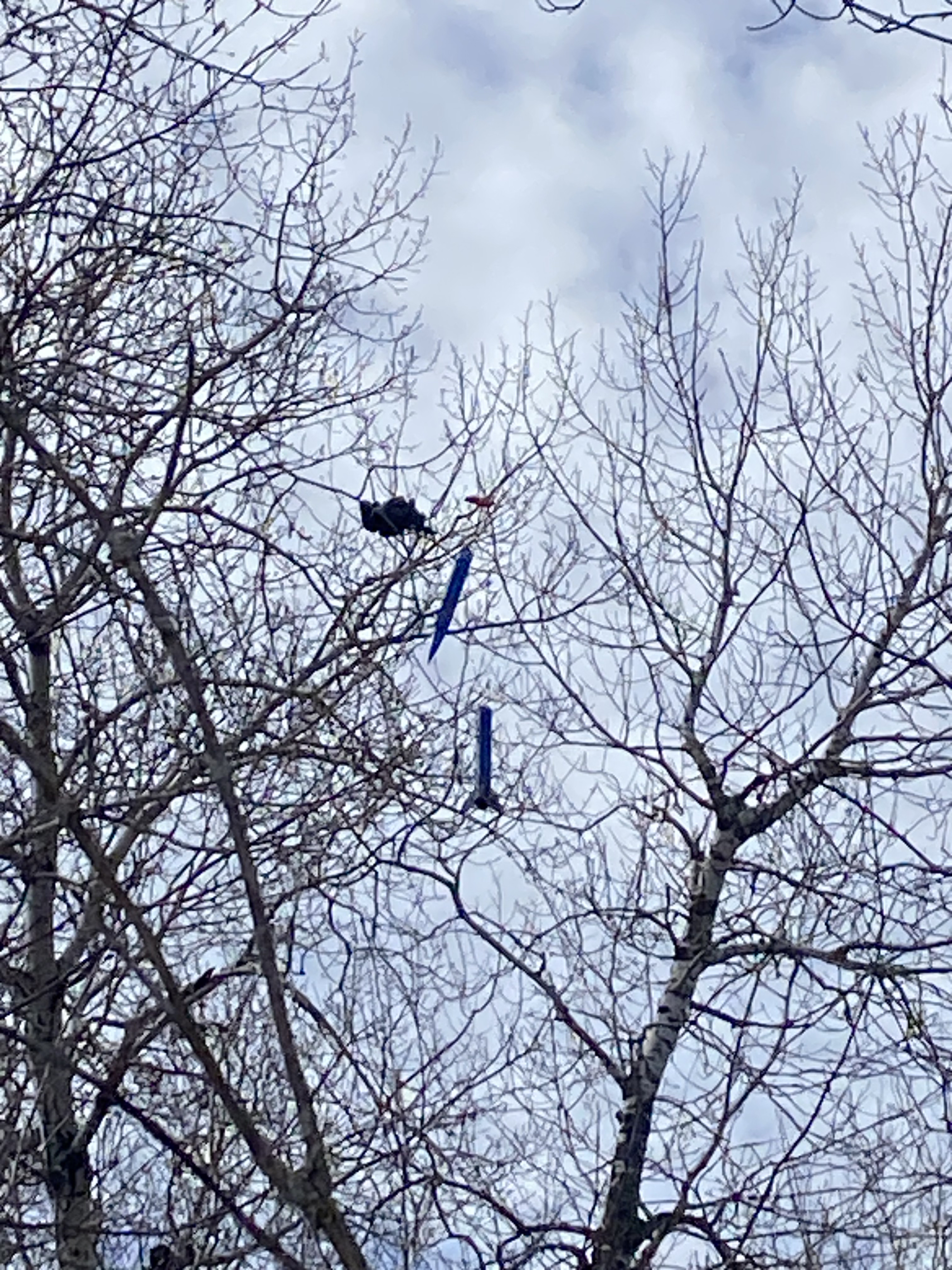 The Flying Lobster rocket and launch equipment at the field